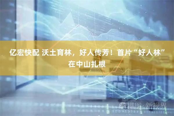 亿宏快配 沃土育林，好人传芳！首片“好人林”在中山扎根