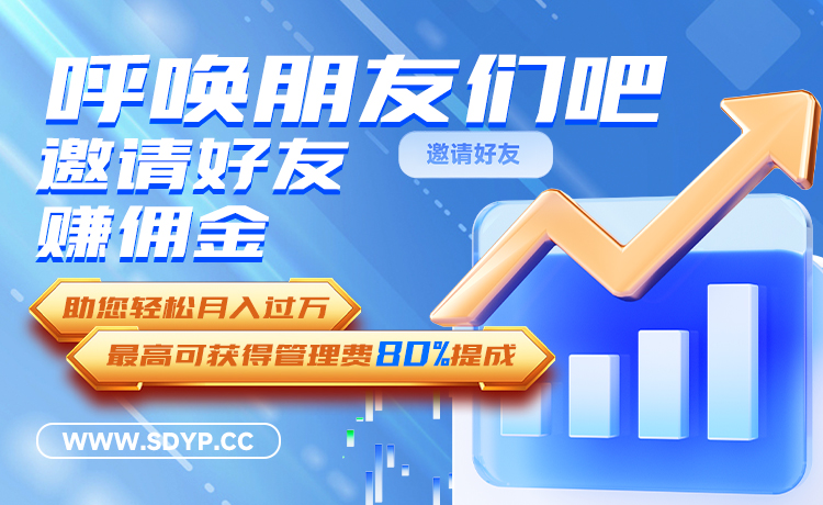 睿新策略